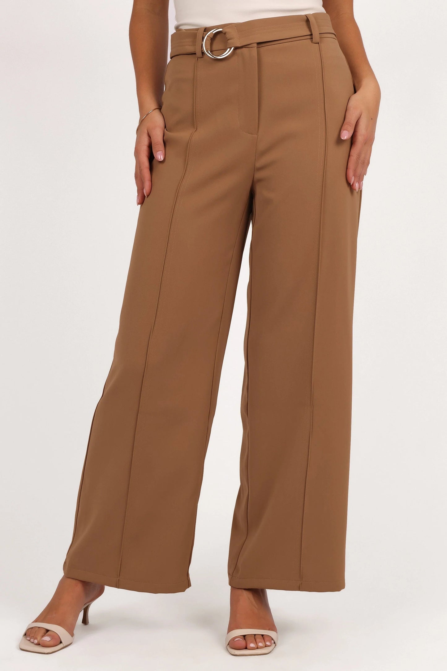 High-Waist Wide-Leg BelTed Pants
